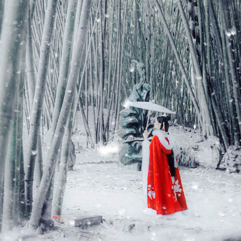 Velvet Cloak Ancient Chinese Style Woolen Autumn Winter Costume